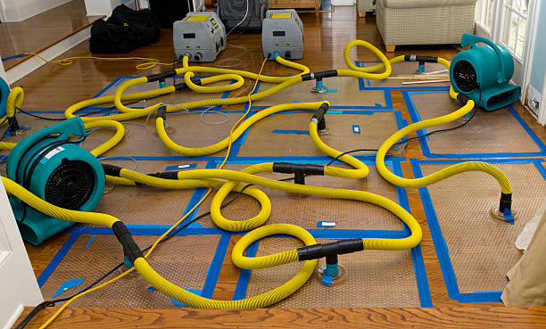 Professional Crawl Space Water Removal technician working in Langlois, OR